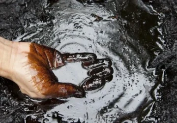 Harga Komoditas Fluktuatif: Minyak Mentah Turun Tipis, CPO Menguat