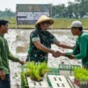 Indonesia Persiapkan Diri untuk El Niño yang Kuat: Perlindungan Keamanan Pangan dalam Fokus