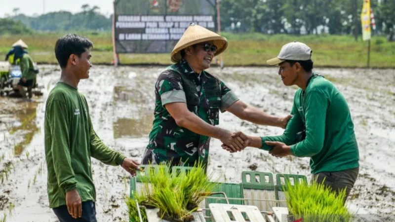 Indonesia Persiapkan Diri untuk El Niño yang Kuat: Perlindungan Keamanan Pangan dalam Fokus