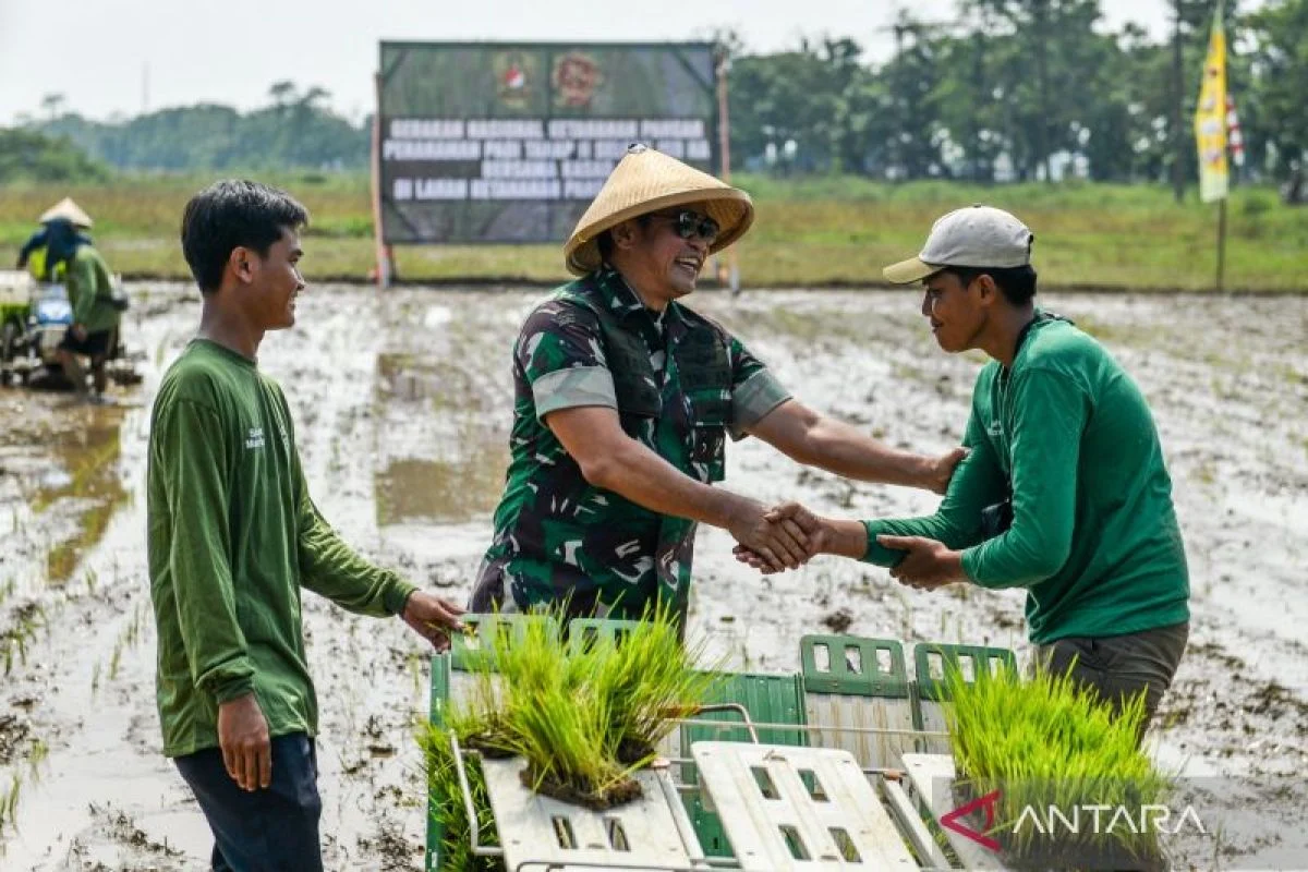 Indonesia Persiapkan Diri untuk El Niño yang Kuat: Perlindungan Keamanan Pangan dalam Fokus