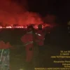 Kebakaran Hutan Melanda Samping Tol Palindra, 10 Hektare Lahan Hangus