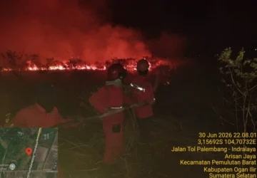Kebakaran Hutan Melanda Samping Tol Palindra, 10 Hektare Lahan Hangus