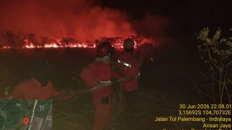 Kebakaran Hutan Melanda Samping Tol Palindra, 10 Hektare Lahan Hangus