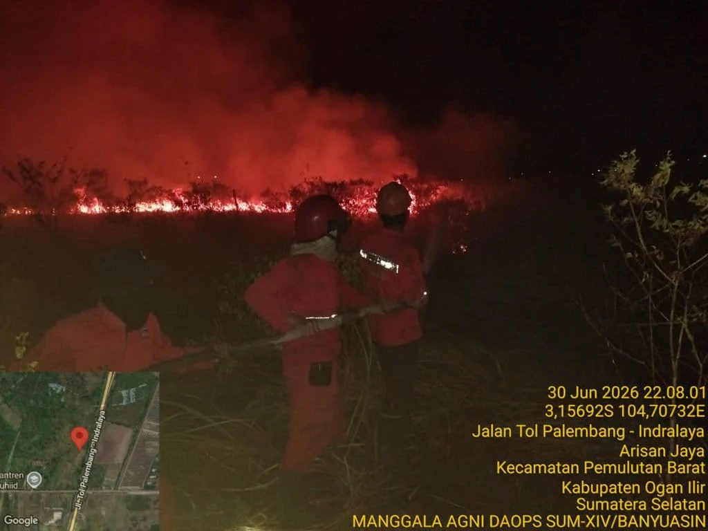 Kebakaran Hutan Melanda Samping Tol Palindra, 10 Hektare Lahan Hangus