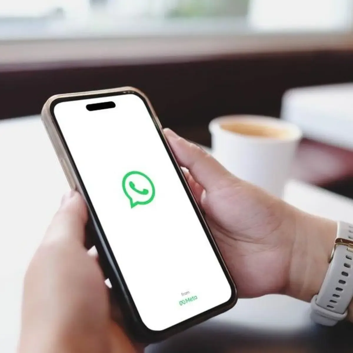 Pemerintah India Tegaskan Risiko Siber dengan Fitur Username WhatsApp