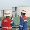 Pertamina Membuka Pendaftaran Internship, 400 Posisi Magang Ditinggalkan